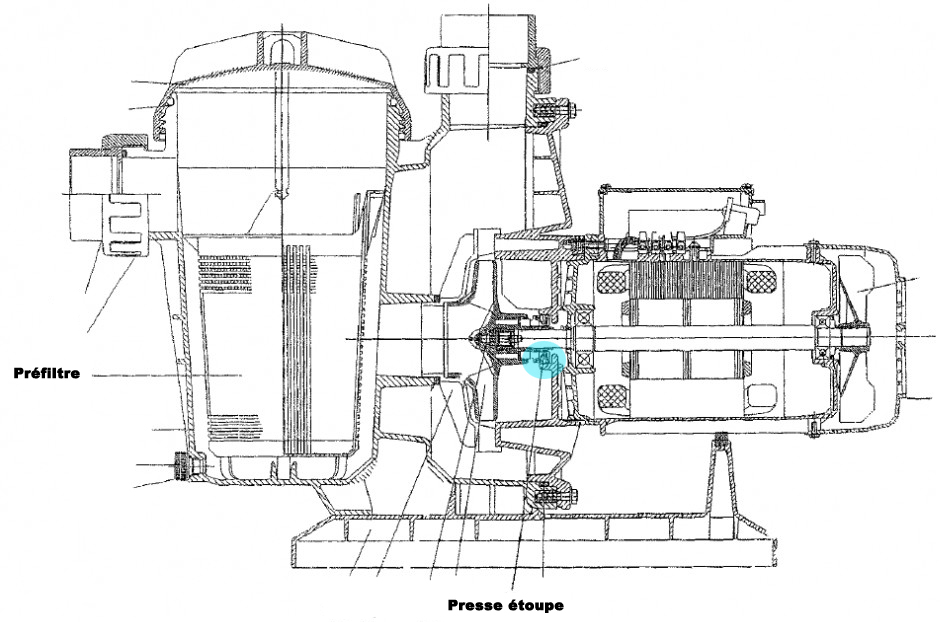 pompe piscine auto amorcante