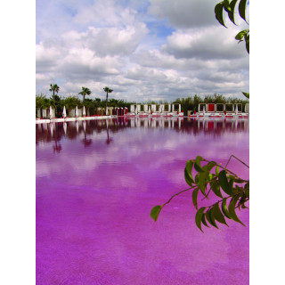 Colorant piscine Fuschia Aquacouleur