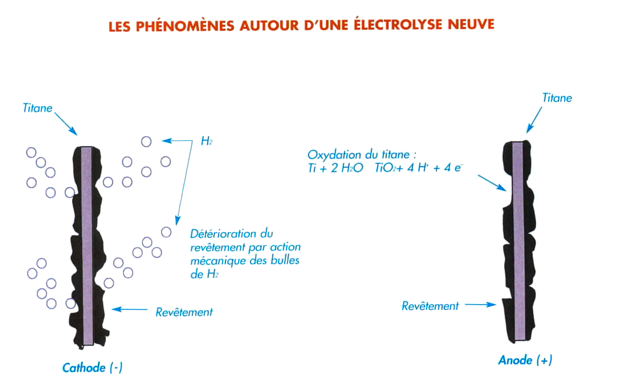 Electrolyseur piscine : phénomènes autour d'une électrolyse neuve