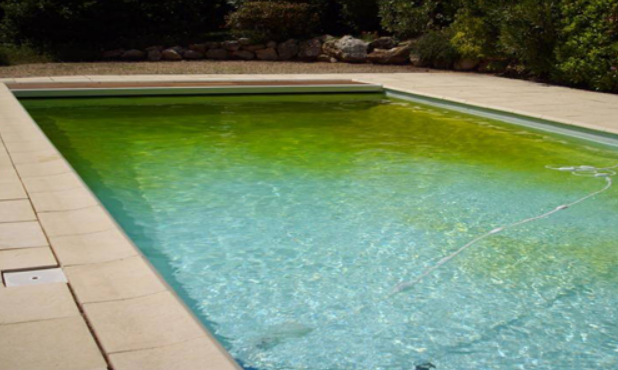 Malgré un Chlore Choc l'eau de la piscine Reste Verte : Que Faire ?